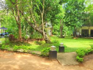a yard with trees and a house with two lights at Flower Garden Eco Village in Sigiriya