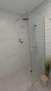 a shower with a glass door in a bathroom at Appartement au cœur du village d'HellBourg in Salazie