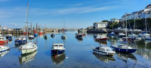 a group of boats are docked in a harbor at No 10 Brixham ( With Free Parking ) in Brixham