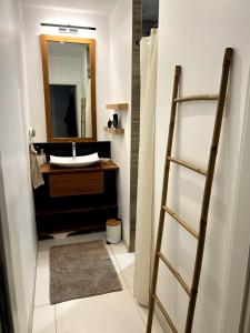 a bathroom with a sink and a mirror at Chambre cosy, proche centre-ville et gare in Colmar