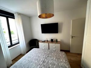 um quarto com uma cama e uma televisão de ecrã plano em Chambre cosy, proche centre-ville et gare em Colmar