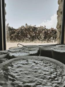 un grupo de platos sentados en el alféizar de la ventana en Colle San Mauro, en Caltagirone