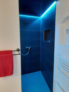 La salle de bains bleue est pourvue d'une douche et d'une serviette rouge. dans l'établissement Altes Gewölbe mit Sauna und Whirlpool im Außenbereich, à Elsterheide