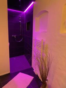 La salle de bains est pourvue d'un éclairage violet et d'une douche avec un vase. dans l'établissement Altes Gewölbe mit Sauna und Whirlpool im Außenbereich, à Elsterheide