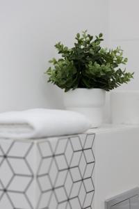 a potted plant sitting on top of a counter at Micro Apartment near Fort Mokotów in Warsaw