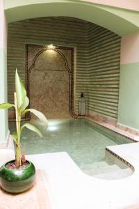 una piscina coperta con una pianta in una stanza di Riad Amra a Marrakech