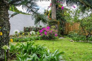 A garden outside Downtown Suites