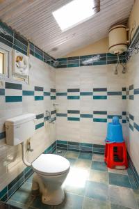 La salle de bains est pourvue de toilettes et de carrelage bleu et blanc. dans l'établissement DEVASHOLA HOMESTAY, à Coonoor