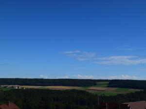 a view of a green field and a blue sky at Ferienwohnung am Hof in Zwiefalten