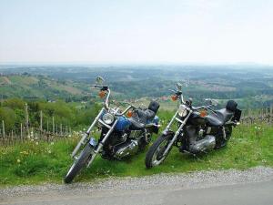 Billede fra billedgalleriet på Enzianhof i Ligist