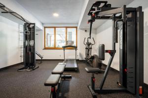 Fitness centrum a/nebo fitness zařízení v ubytování Ganz & SPA