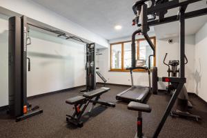 Fitness centrum a/nebo fitness zařízení v ubytování Ganz & SPA