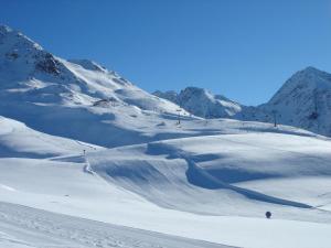 Alpengasthof Zollwirt talvel