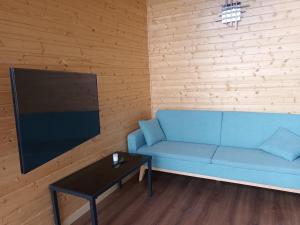 un salon avec un canapé bleu et une télévision dans l'établissement CAMPING DE BESALU, à Besalú