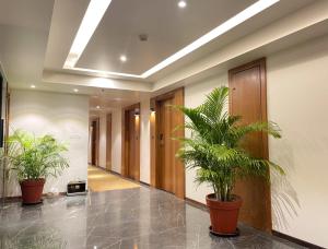 un couloir avec deux plantes en pot dans un bâtiment dans l'établissement Comfort Hotel Vista, à Lucknow