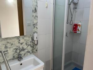 uma casa de banho com um lavatório e um chuveiro em Private Apartment Wakin Residence, City Centre, Port Louis em Port Louis