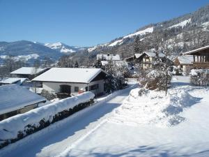 Appartement Bergblick v zime