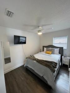 um quarto com uma cama e uma televisão de ecrã plano em Incredible comfortable apartments near the airport and beaches em Tampa
