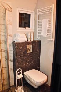 Un baño con inodoro y ducha con toallas. en Cozy Studio Apartment in the Heart of Reykjavík, en Reikiavik