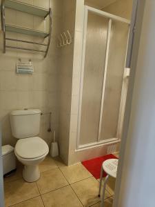 ニーウポールトにあるResidentie Gaudiのバスルーム(トイレ、シャワー付)