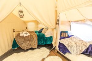 a room with two beds in a tent at 8-Bed Lotus Belle Mahal Tent in The Wye Valley in Ross on Wye