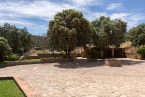 une cour avec un arbre et un bâtiment dans l'établissement El recreo de Martalia, à Ronda 37 autres photos