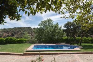 une piscine dans une cour avec de l'herbe et des arbres dans l'établissement El recreo de Martalia, à Ronda