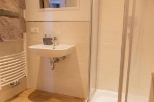 a bathroom with a sink and a shower at Hof Timmermann - Alte Werkstatt in Ottenstein
