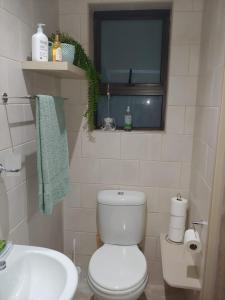 a bathroom with a toilet and a sink and a window at Droom Verlore in Jeffreys Bay