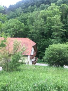 een klein huis met een rood dak in een veld bij NiceHead spacious home between Maribor and Celje in Loče pri Poljčanah