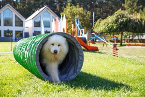 詹塔尔Domy Morskie Dog Friendly的一只狗躺在游乐场的一个隧道里。 更多129张照片