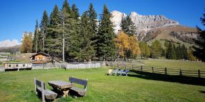 a picnic table and chairs in a field with a mountain at Angerle Alm Apt Rosengarten in Carezza al Lago