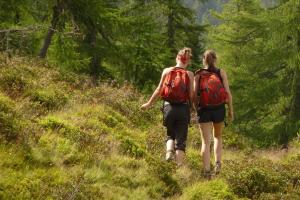 Hosté ubytování Almhütte Badstube