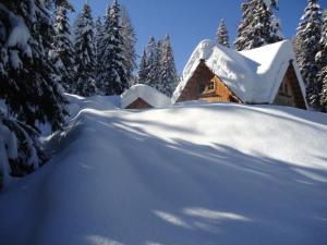 Almhütte Badstube v zimě