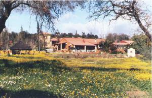 A garden outside Cortijo Zalamea