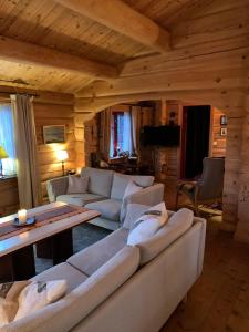 a living room with couches and a table in a cabin at Havretunet på Havrefjell-cozy cabin with jacuzzi in Åmli