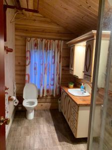 a bathroom with a toilet and a sink at Havretunet på Havrefjell-cozy cabin with jacuzzi in Åmli