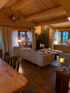 a living room with a couch and a fireplace at Havretunet på Havrefjell-cozy cabin with jacuzzi in Åmli