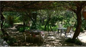 A garden outside Cortijo Zalamea