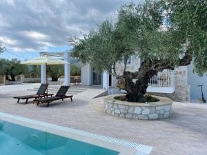 un árbol sentado junto a una piscina al lado de un edificio en Villa Niva, en Áyios Kírikos