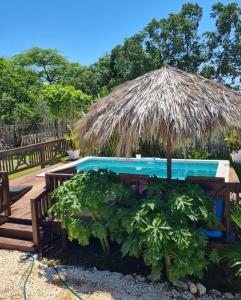 a swimming pool with a straw umbrella and some plants at Azteca Villas in Treasure Beach