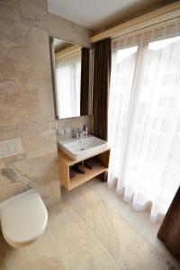 ein Badezimmer mit einem Waschbecken, einem WC und einem Spiegel in der Unterkunft Hotel Terminus in Küblis