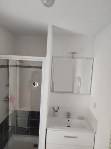 bagno bianco con lavandino e doccia di Superbe appartement en rez-de-jardin à LANTON a Lanton