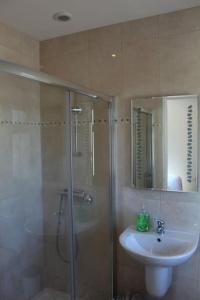 Ballaghnatrillick的住宿－Ben Haven Self Catering Accommodation，带淋浴和盥洗盆的浴室