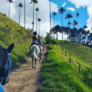 a woman riding a horse down a dirt road with palm trees at Hospedaje Los balcones in Salento