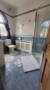 a bathroom with a shower and a toilet and a sink at The Yoke in Ballybrittas