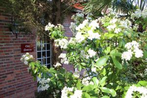 ein Baum mit weißen Blumen vor einem Backsteingebäude in der Unterkunft Les Jardins Carnot in Compiègne