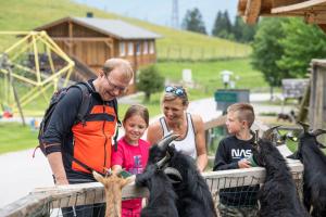 Majutusasutuse Gasthof Kleefeld külastajad