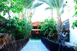 Zahrada ubytování Magtas Hotel