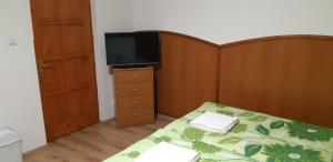 um quarto com uma cama e uma televisão de ecrã plano em Borgaléria em Tokaj